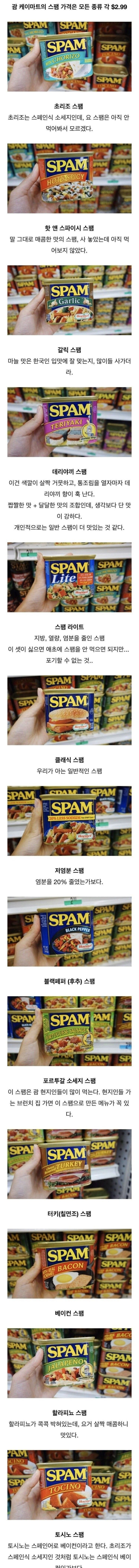 여러 가지 스팸 종류